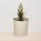Vaso de Planta Pequeno em Madeira|Plástico 13,3x13,2cm Sustentável Marfim Tronco Evo Design